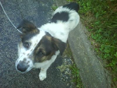 bouba